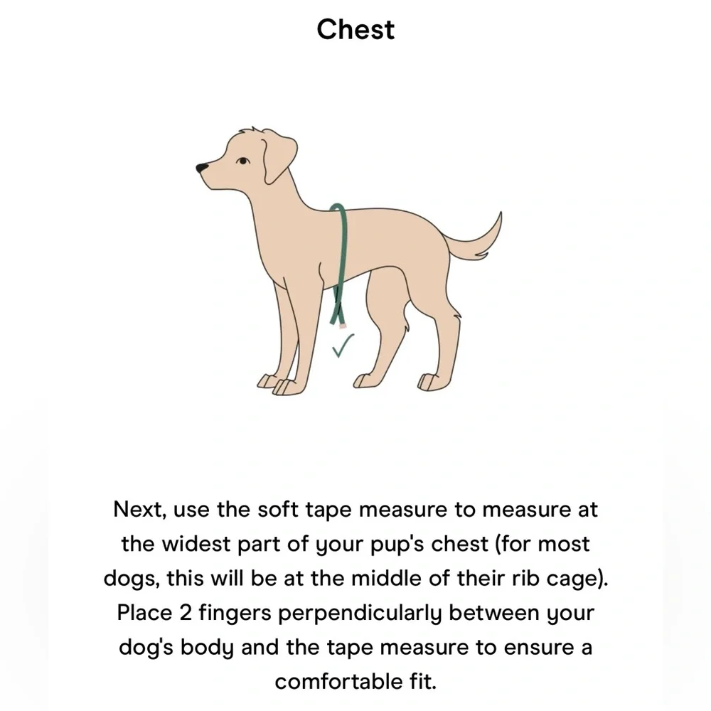 Wild One Dog Harness 3.0 - Large - Orchid